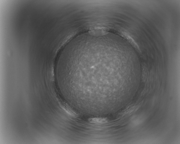 X0000072520251200607290206