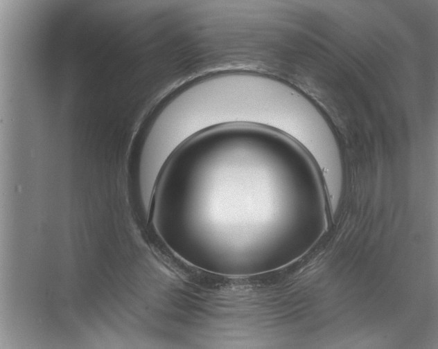 X0000072520252200607290206