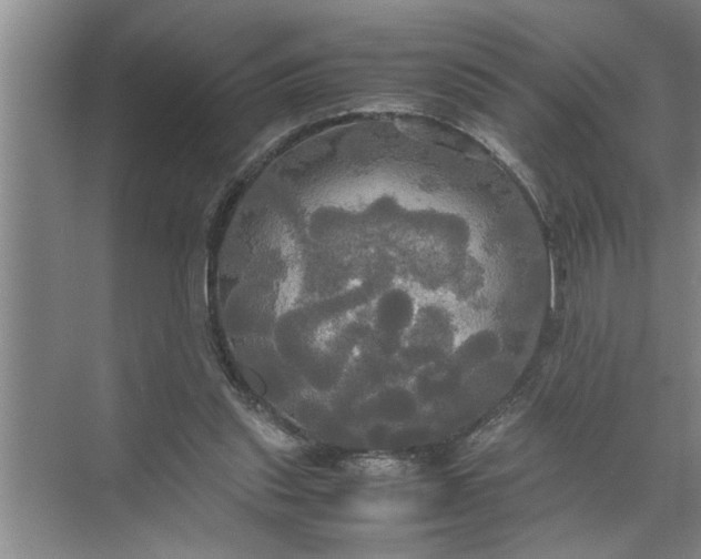 X0000072520253200607290206