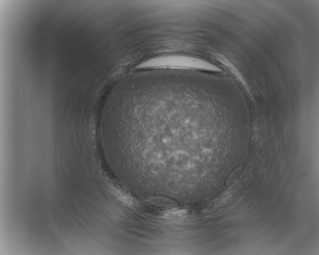 X0000072520257200607290206