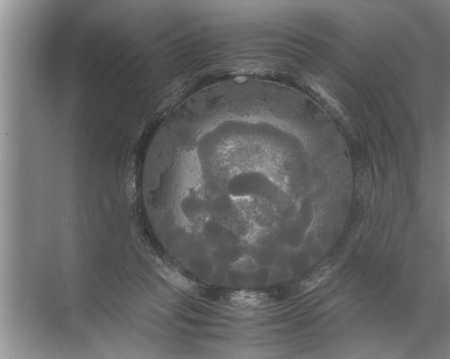 X0000072520261200607290206