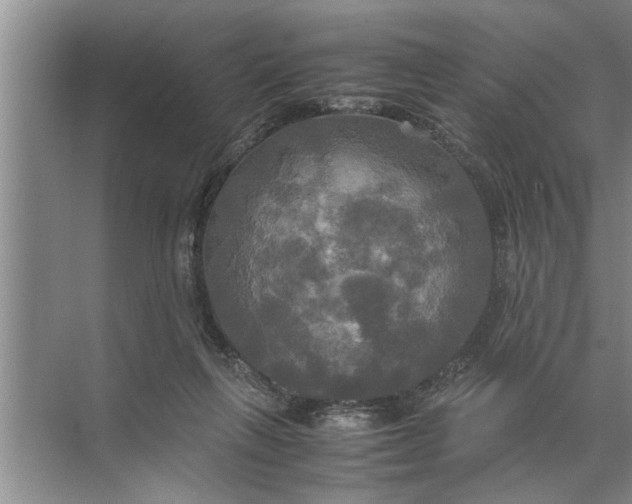 X0000072520263200607290206