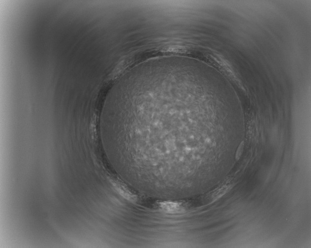 X0000072520265200607290206