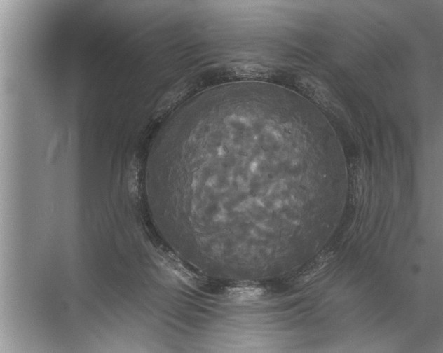 X0000072520266200607290206