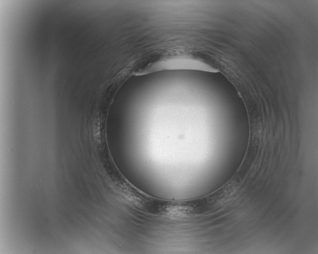 X0000072520268200607290206