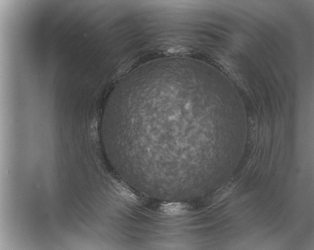 X0000072520269200607290206