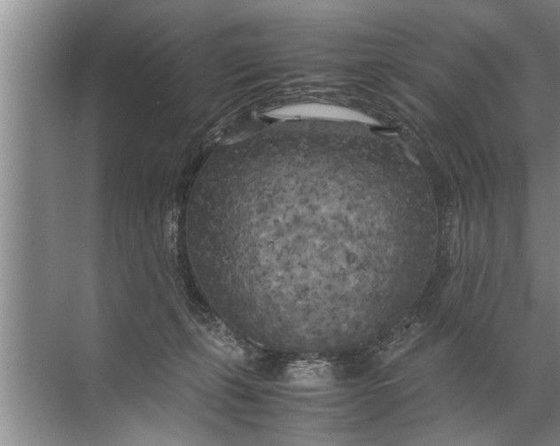 X0000072520271200607290206