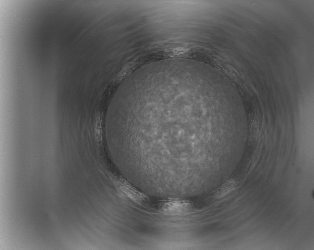 X0000072520274200607290206