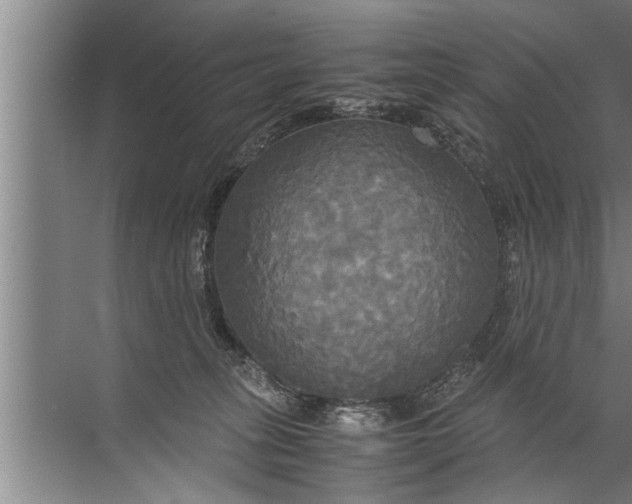 X0000072520275200607290206