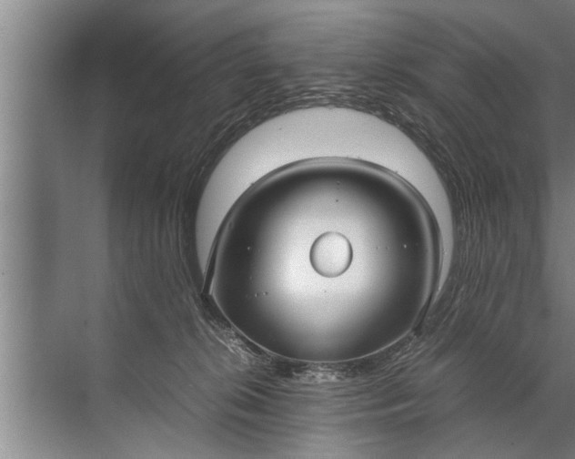 X0000072520276200607290206