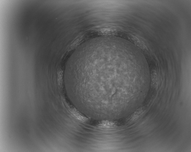 X0000072520278200607290206