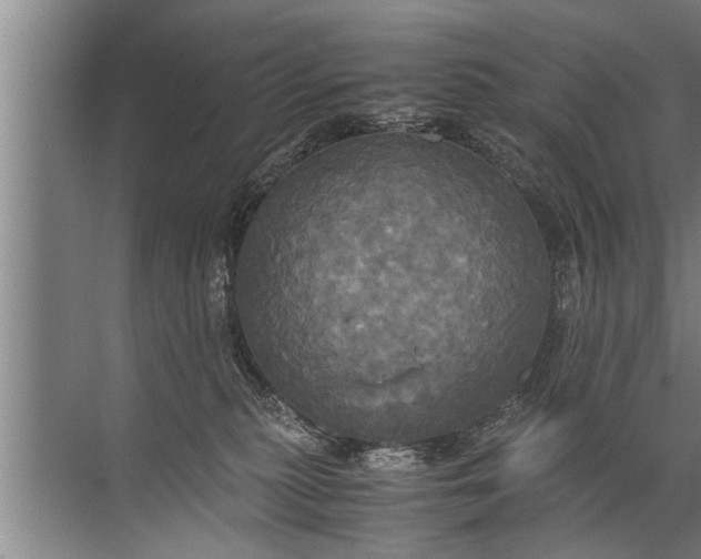 X0000072520279200607290206