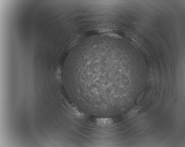 X0000072520281200607290206