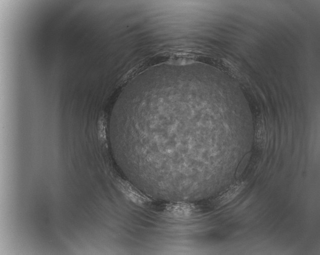 X0000072520282200607290206