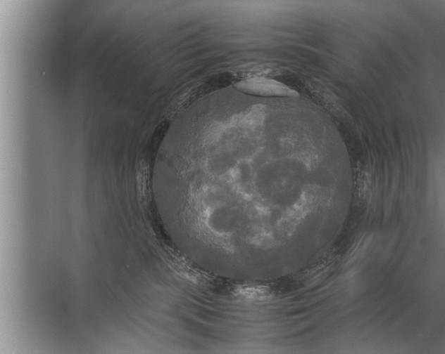 X0000072520283200607290206