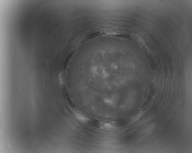 X0000072520285200607290206