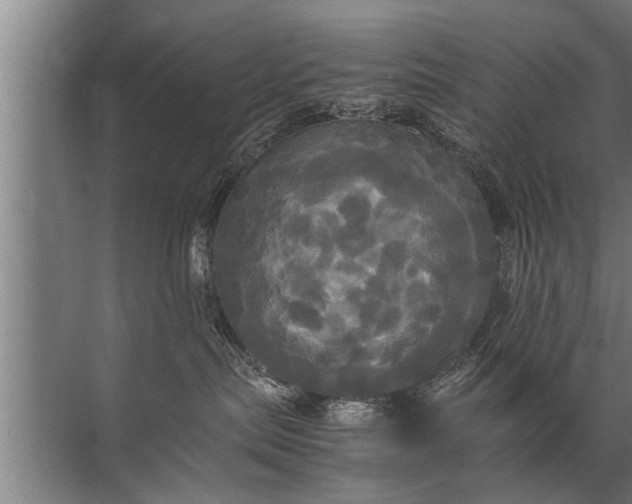 X0000072520287200607290206