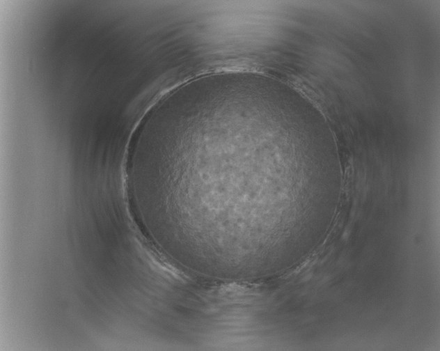 X0000072520290200607290205