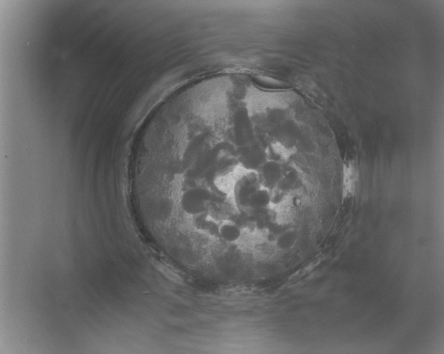 X0000072520291200607290205