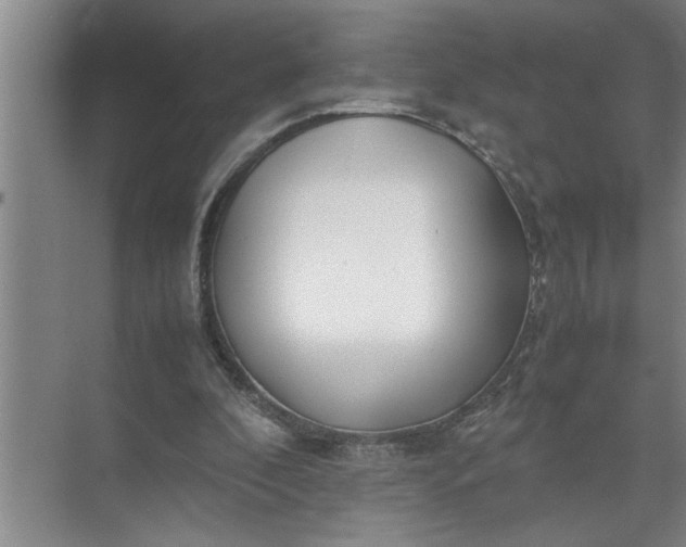 X0000072520296200607290205