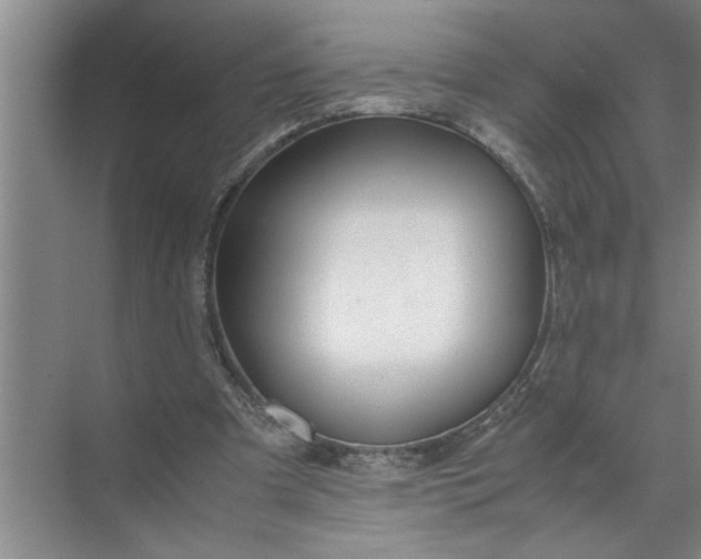 X0000072520297200607290205