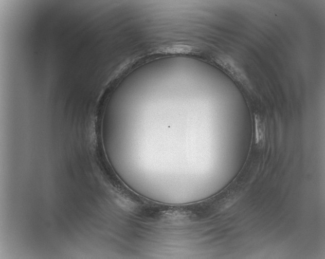 X0000072520300200607290205