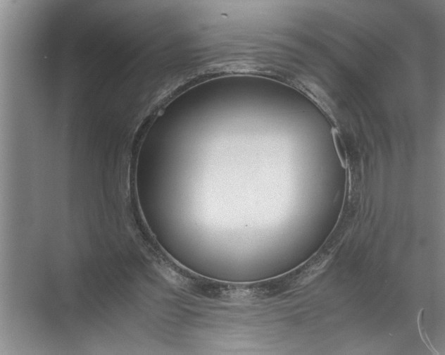 X0000072520301200607290205