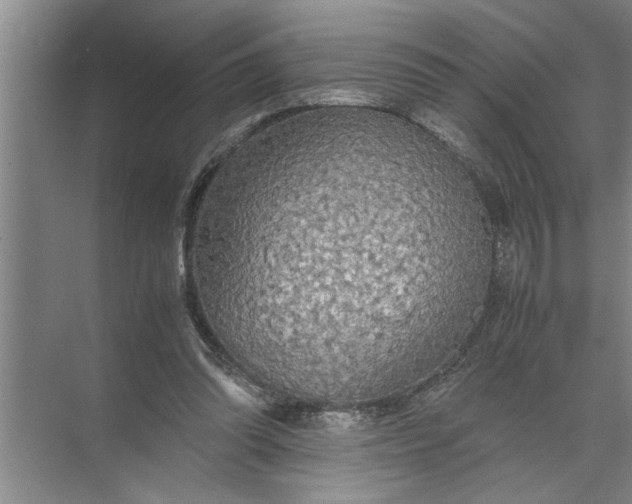 X0000072520302200607290205