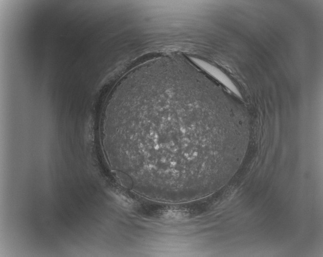 X0000072520303200607290205