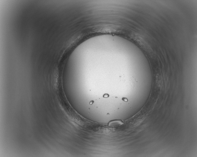 X0000072520304200607290205