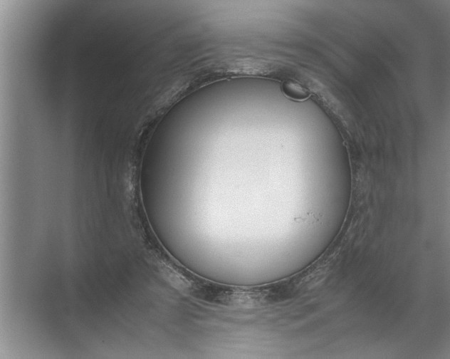 X0000072520305200607290205