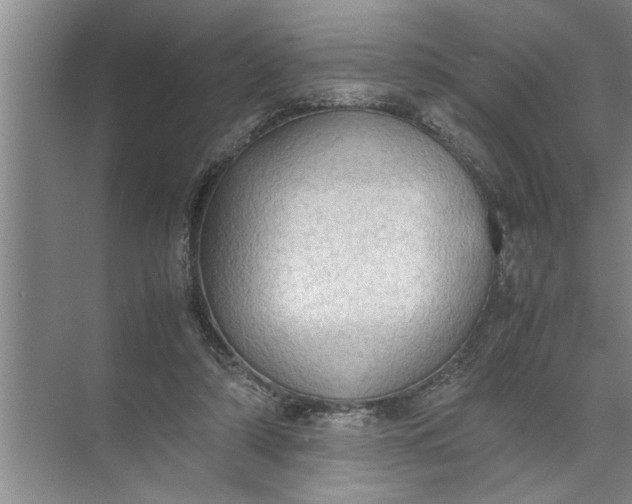 X0000072520306200607290205