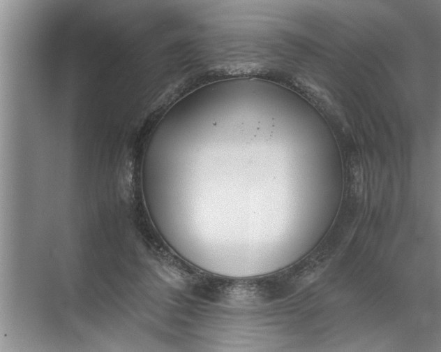 X0000072520308200607290205