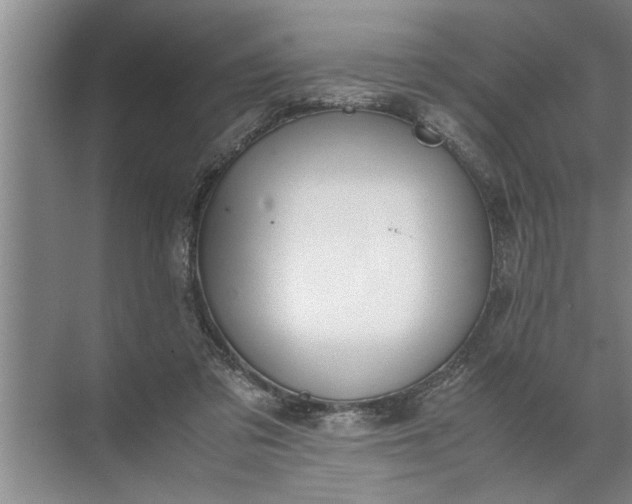 X0000072520309200607290205