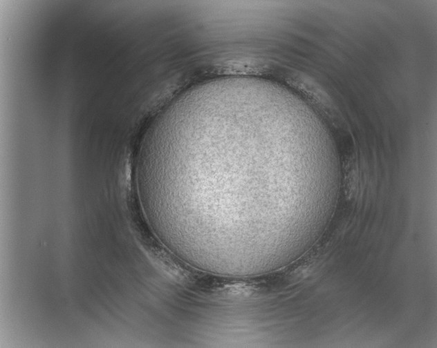 X0000072520310200607290205