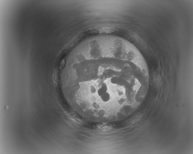 X0000072520311200607290205