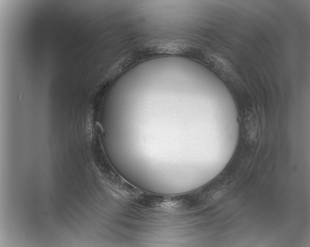 X0000072520312200607290205