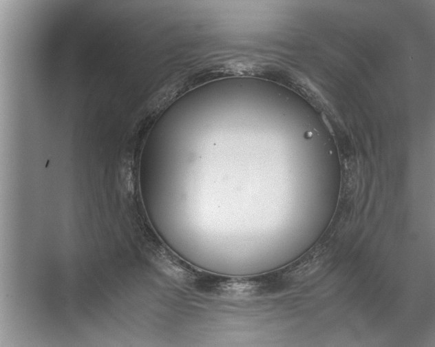 X0000072520313200607290205