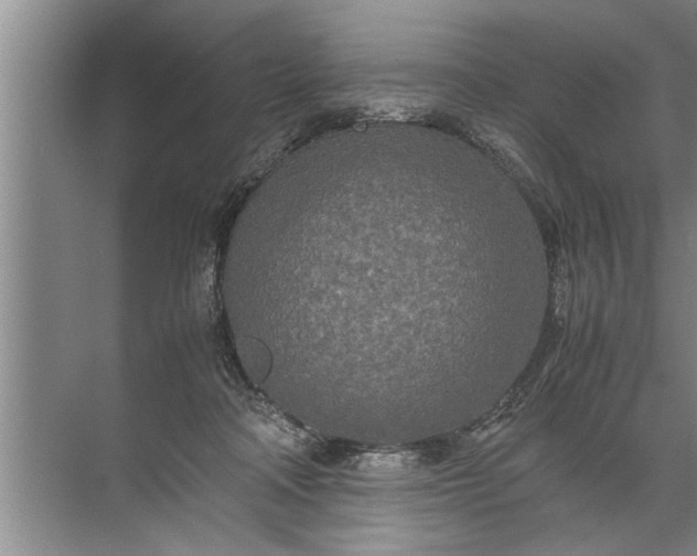 X0000072520314200607290205