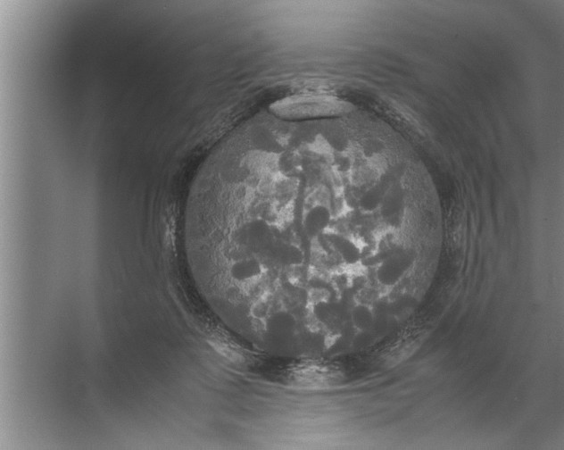 X0000072520315200607290205