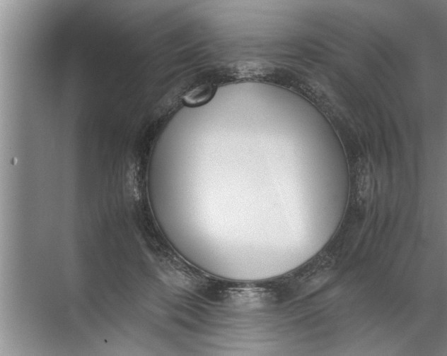 X0000072520316200607290205