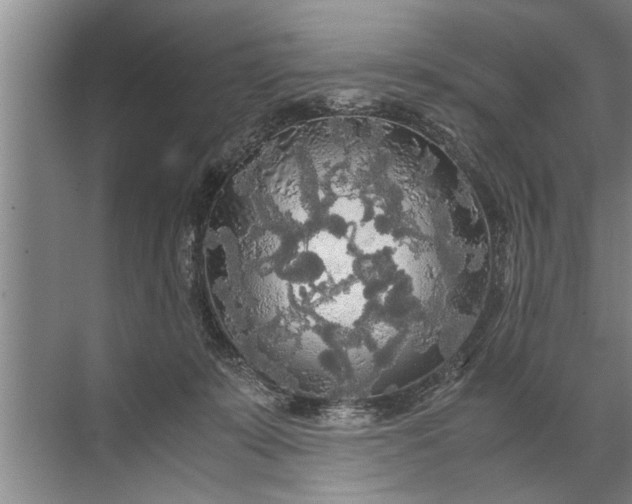 X0000072520319200607290205