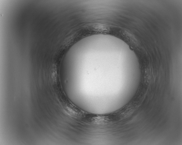 X0000072520320200607290205