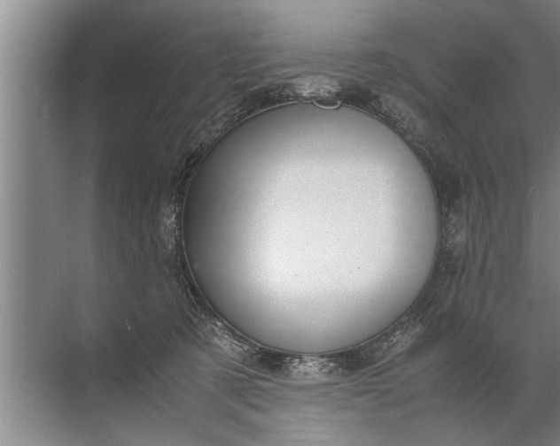 X0000072520321200607290205