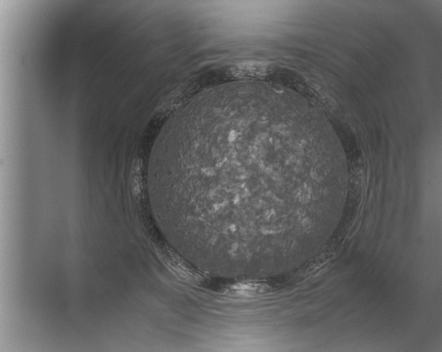 X0000072520323200607290205