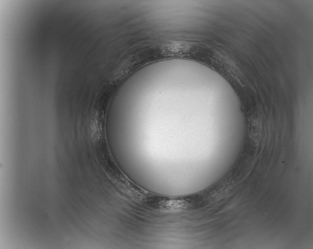 X0000072520324200607290205