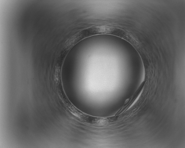 X0000072520325200607290205