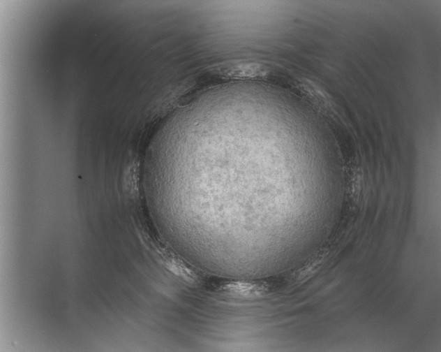 X0000072520326200607290205