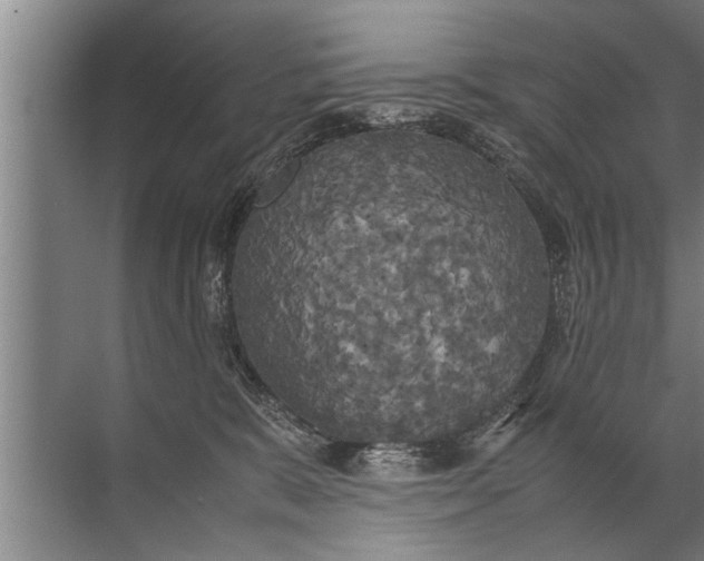 X0000072520327200607290205