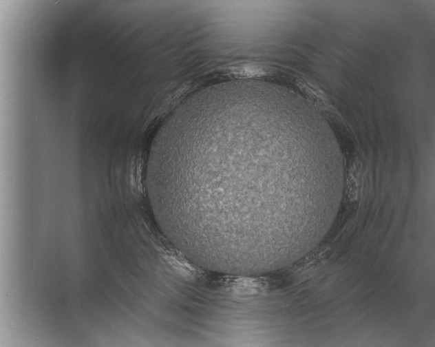 X0000072520330200607290205